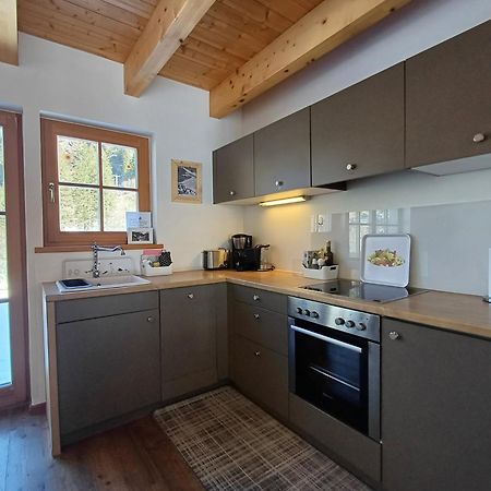 Tauerndorf Enzingerboden Ski In&Out - Steinbock Lodges Exteriör bild